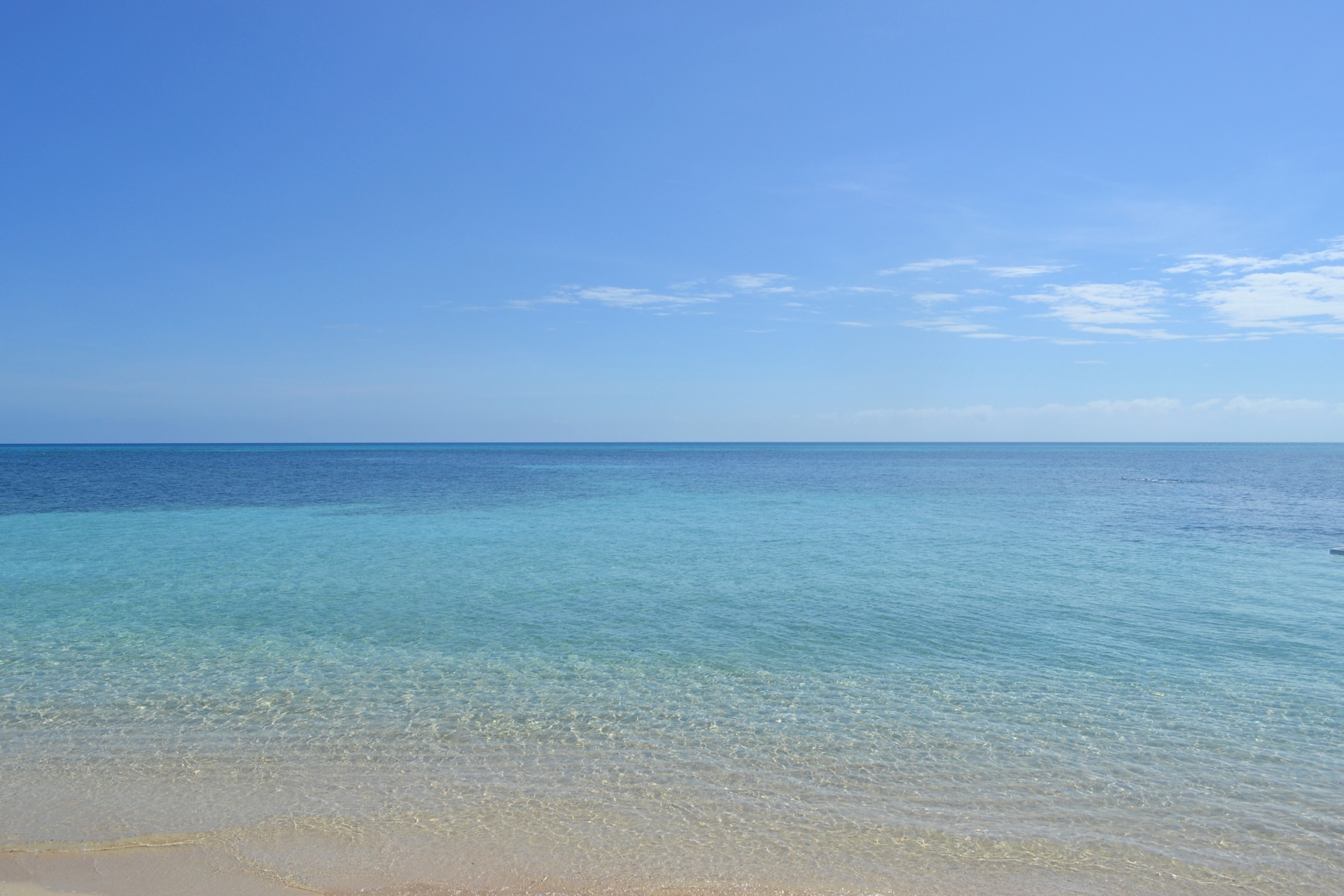 ベイサイド日本語学校